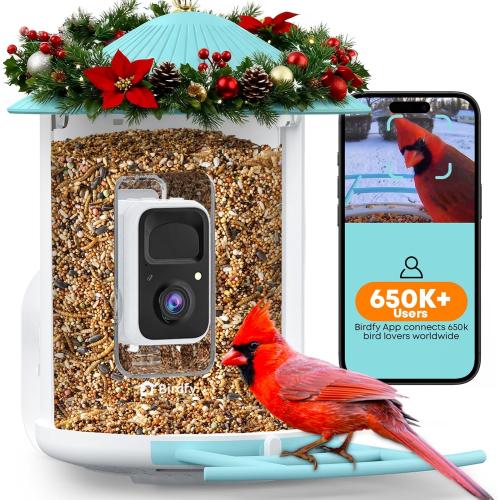 NETVUE by Birdfy Smart Bird Feeder with 2K AI Camera, Auto Capture Videos & Motion Detection, Live Steam, Wireless Wildbird Watching, Outdoor Backyard Birder(AI by Subscription)