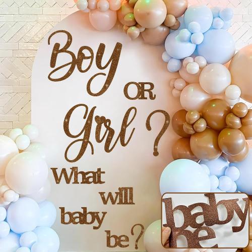 Boy or Girl Sign for Backdrop Gender Reveal Party Decoration Letters Decals