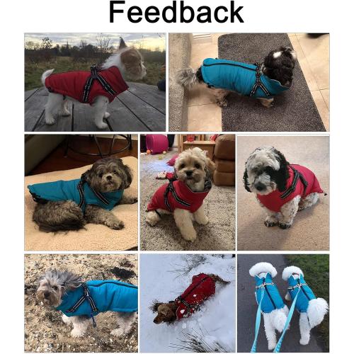 Winter Warm Coat Geyecete Waterproof Jacket with Harness Traction Belt,Pet Outdoor Jacket Dog Autumn and Winter Clothes for Medium, Small Dog-Red-M