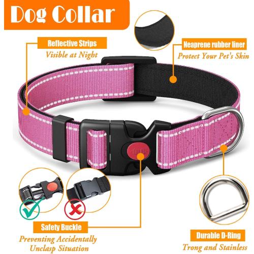 LOBEVE No Pull Dog Harness, Collar & Leash Set with Travel Accessories