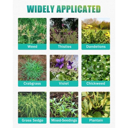 Breeze Touch 39 Weed Pulling Tool, 3-Claw Detachable Weed Puller Tool with Long Handle, Heavy Duty Stand Up Weeder Weeding Tool for Lawn, Yard, Garden, Crabgrass, Dandelion Picker, Weed Remover