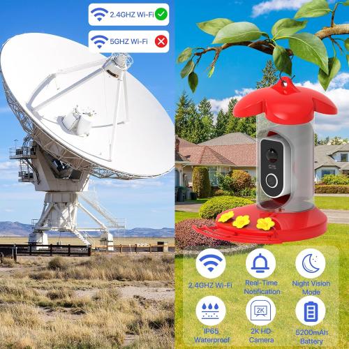 Hummingbird Feeder with Camera for Outdoor - 2K QHD Video, Instant Notifications & AI Bird Species, Ant Moat, Bee Proof, Motion Detection, 2.4G WiFi, Signal Booster, Gift for Bird Lovers (Red)