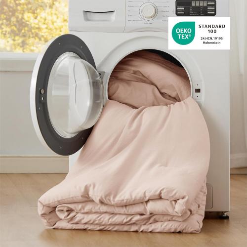 Bedsure Queen Light Pink Soft Prewashed Bedding for All Seasons,GentleSoft Lightweight Comforter