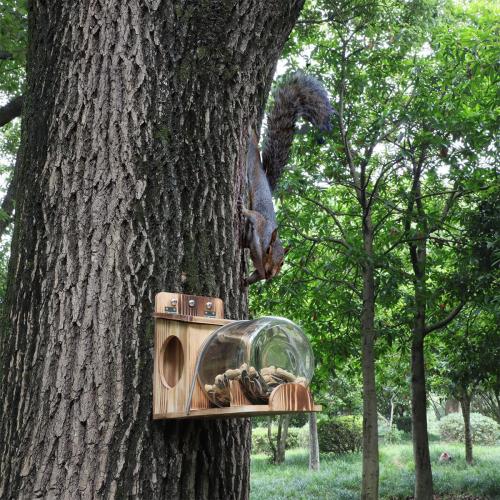 No Assembly Squirrel Feeder,Natural Wood Backyard Gallon Jar Large Squirrel Feeders for Outside Funny for Corn Cobs, Peanuts and Seeds