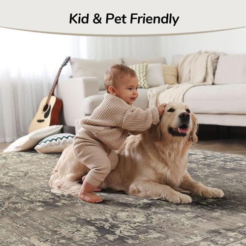 Area Rugs for Living Room, Machine Washable Non Slip Rug, Soft Low Pile Carpet for Bedroom Dining Home Office, Vintage Brown Distressed Floral Floor Mat