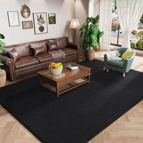 Black Amearea Modern Area Rugs for Bedroom Living Room, Black Thickened Memory Foam Rug, Fluffy Indoor Washable Rugs Non Slip Minimalist Carpet for Kids Boys Girls Dorm Nursery Room Decor