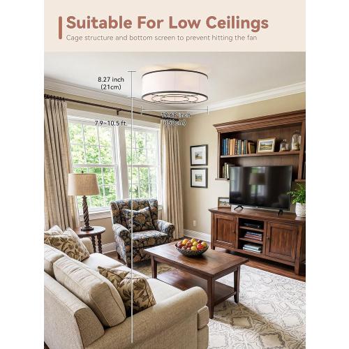 Low Profile Ceiling Fans with Lights, 20 Black Boho Ceiling Fan with Light Flush Mount and Remote Control, Drum Caged with 6 Speeds for Bedroom, Nursery, Living Room