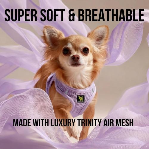 EcoBark Step in Dog Harness, Small & Medium Breed Dogs, Lavender, Medium | Reflective & Adjustable Body Halter Vest, Soft Mesh Toy Breed Dog Harness, No Pull, No Choke & Escape Proof Harnesses