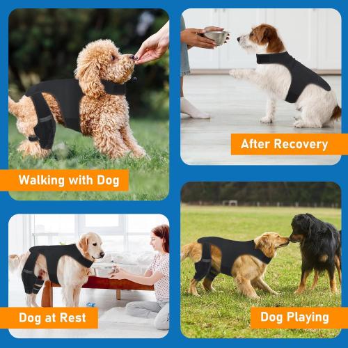 Dog Knee Brace for Hind Legs- Adjustable Dog Leg Brace for Both Back Leg Helps with Torn ACL, Luxating Patella, Ligament Injuries & Arthritis, L