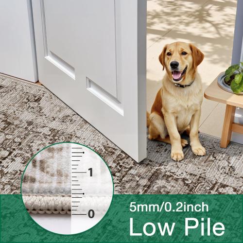 LUMI 8x12 Washable Area Rug for Living Room, Ultra Soft Traditional Vintage Rugs Non Slip with Rubber Backing, Low Profile, High Traffic, Stain Resistant Carpets, Ideal for Bedroom, Dining Room