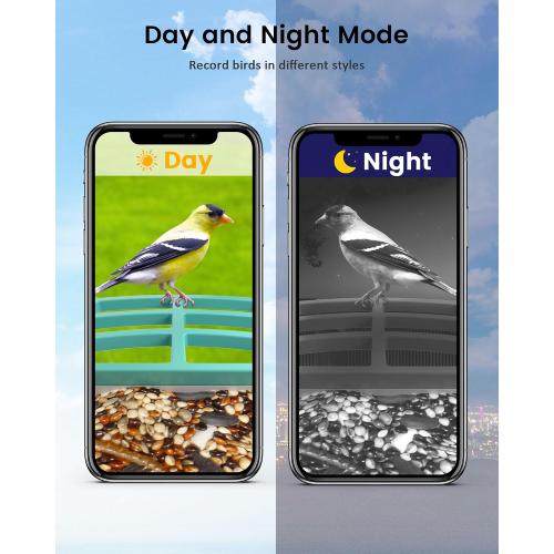 Color Blue Smart Bird Feeder Camera (Dual Panel), Solar Powered, Identify 11,000  Birds with AI, Auto Capture & Notify, 2K HD Footage, Outdoor Bird Watching, Ideal Gift for Birds Lovers.