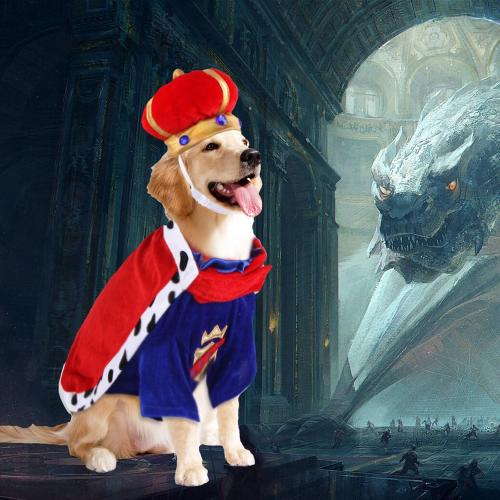 Size S-M Dog King Costume - Halloween Prince Dog Costume, Pet King Cloak Costumes Includes Ruby Crown Hat & Cape for Small Medium Dogs Pets, Puppy Royal Cosplay Outfit for Halloween Christmas Party,