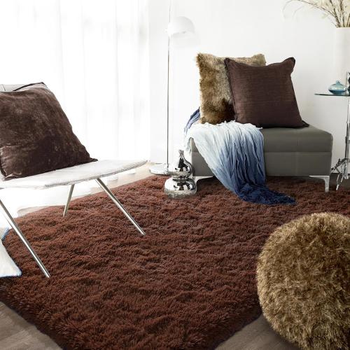 Area Rug Brown Large Living Room Fluffy Carpet for Bedroom Dorm, Non-Slip High Pile, Coffee Modern Big Shag Rug for Classroom Kids Playroom Nursery Home Office Decor