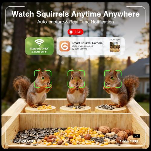 Wooden Squirrel Feeder with Camera, Solar-Powered, 2K HD  Video | Cloud Storage, Large Capacity, Ideal for Squirrel Lovers