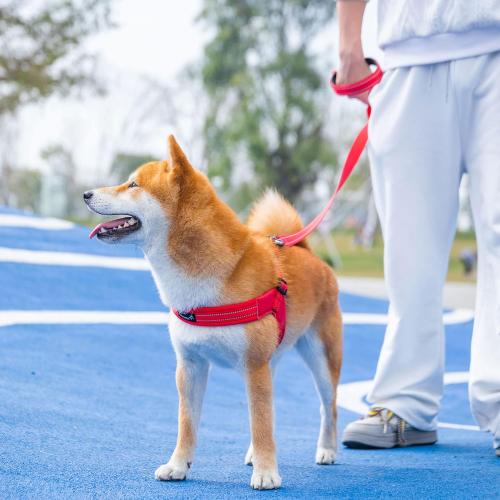 EXCELLENT ELITE SPANKER No Pull Dog Harness Step-in Adjustable Reflective Vest Soft Padded Easy Pet Chest Strap with Leash Clips for Small Medium Large Dogs Walking Training(Purple-M)
