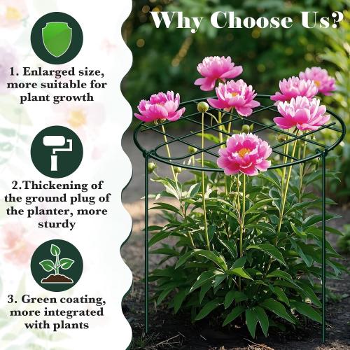 6 Pack 16 x 24 Inch Peony Cages and Supports Grow Through Plant Grid Support,Metal Plant Brace Support Peony Rings Hoops for Outdoor Plants Vegetables,Rose,Tomato,Orchids