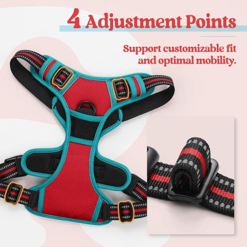 Size L rabbitgoo Dog Harness No Pull with 2 Leash Clips, Adjustable Soft Padded, Reflective Oxford No Choke Pet Vest with Easy Control Handle for Medium Sized Dogs, Red & Teal