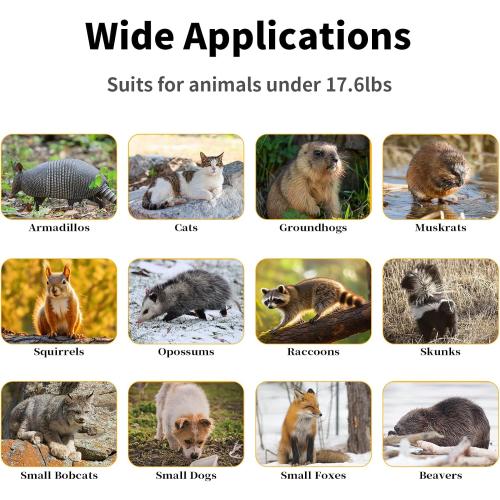 40 2-Door Large Live Animal Traps for Stray Cats up to 17.6 pounds, Raccoons, Squirrel, Skunk, Mole, Groundhog, Armadillo, Rabbit, with Pedal Triggers