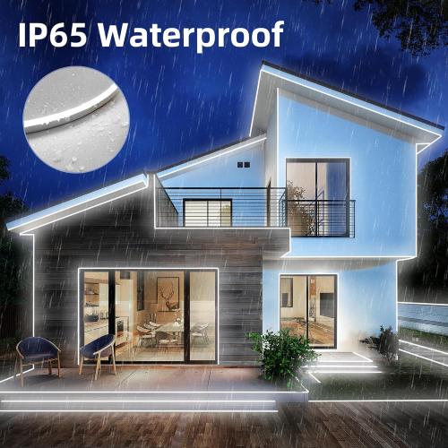 LED Neon Rope Light, 32.8Ft Cool White Dimmable Led Strip Lights, DIY Flexible Silicone Waterproof Neon Strip Lights for Bedroom, Living Room, Kitchen, Indoor, Outdoor (Power Adapter Included)