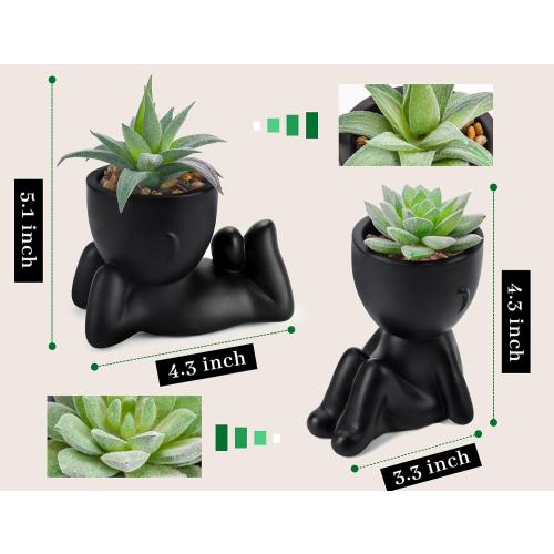 Der Rose Set of 2 Color Black  Fake Plants Artificial Succulent Plants for Office Desk Accessories Black Bathroom Home Room Aesthetic Decor Indoor