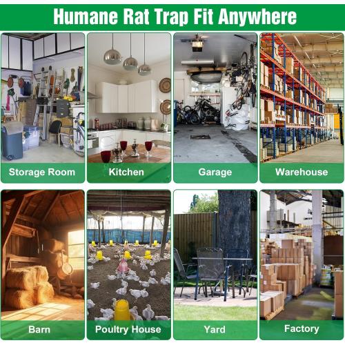 2 Packs Humane Rat Trap Outdoor, Wanqueen Humane Mouse Traps Indoor for Home, Small Rodent Chipmunk Trap and Other Live Animal Cage Catch and Release