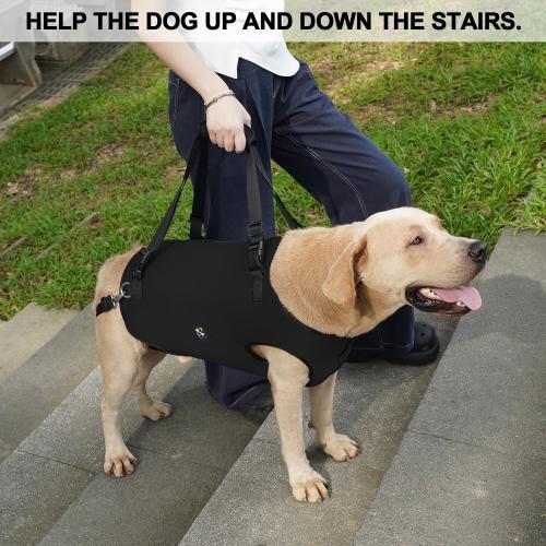 Coodeo Dog Lift Harness, Pet Support & Rehabilitation Sling Lift Adjustable Padded Breathable Straps for Old, Disabled, Joint Injuries, Arthritis, Loss of Stability Dogs Walk (Black, XL)