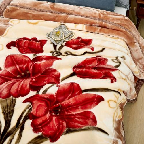 9 lbs Heavy Korean Mink Blanket,Silky Soft and Warm - Korean Style Queen Size 77 x 90, 9LB - 2 Ply Reversible Soft Warm Plush Raschel Blanket.