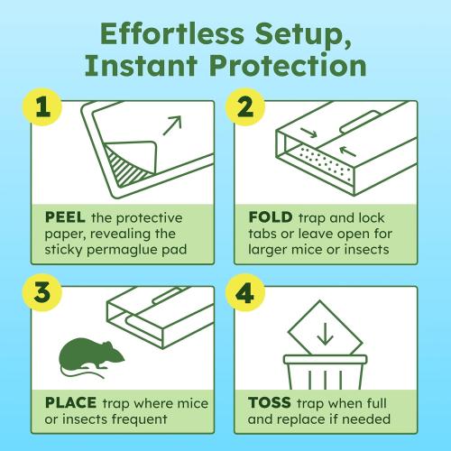 BugMD CatchShield Glue & Sticky Traps for Mice, Rats & Insects – Non-Toxic Pest Control, 24-Pack, Pet & Family Friendly, Extra-Strength, Ready-to-Use Adhesive Traps