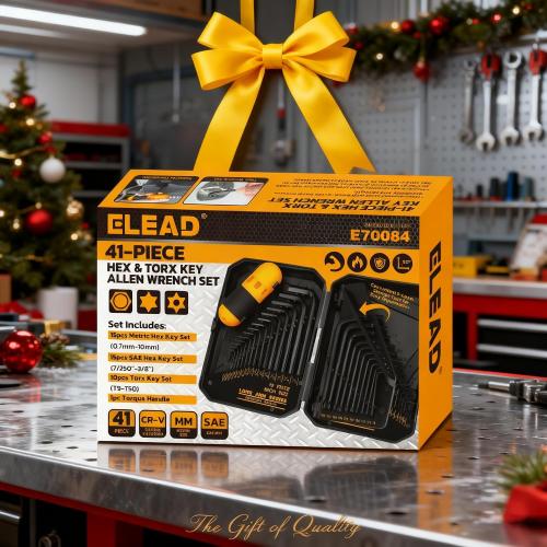 ELEAD Hex Key Allen Wrench Set: 41-Piece Hex and Torx Key Set with Torque Handle, Standard SAE(0.028-3/8) & Metric(0.7mm-10mm) & Torx(T9-T50) in Storage Case, Heat Treated Chrome Vanadium Steel