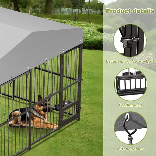 10x10x6 FT Outside Dog Kennel with Roof,Heavy Duty Outdoor Kennels for Large Dogs,with Uv-Resistant Waterproof Roof Covered Outdoor Dog Run,Lock,for Medium and Large Dogs,Easy Assembly
