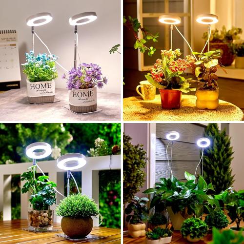 2 Pack Brightown Plant Grow Light, LED Growing Light for Indoor Plants, 2 Head 96 LED Adjustable Height Growing Lamp with Timer, 3 Dimmable Brightness Levels, Low Safe Voltage, Perfect for Small Plants