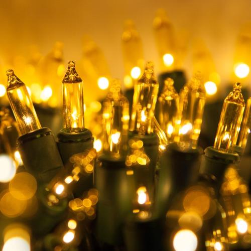 Incandescent Mini String Lights, Indoor Mini Tree Lights, Outdoor Christmas Mini Lights, Colorful Christmas Mini Lights, Green Wire (100 Lights / 2.5” Spacing / 21 Ft, Gold)