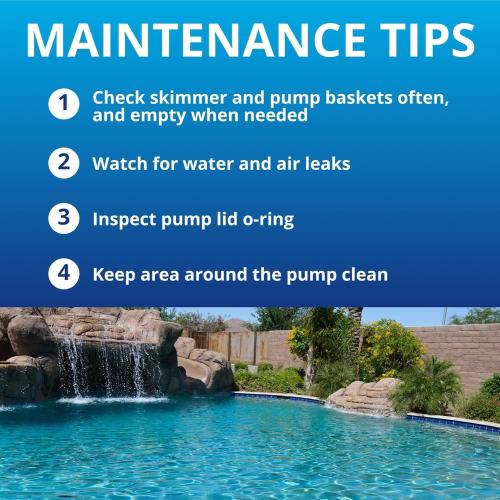 Raypak Protege Pool Pump – RPAGP100 – Quiet, Durable 1.0 HP Above Ground Pump -with Thermal Protection & Large Basket