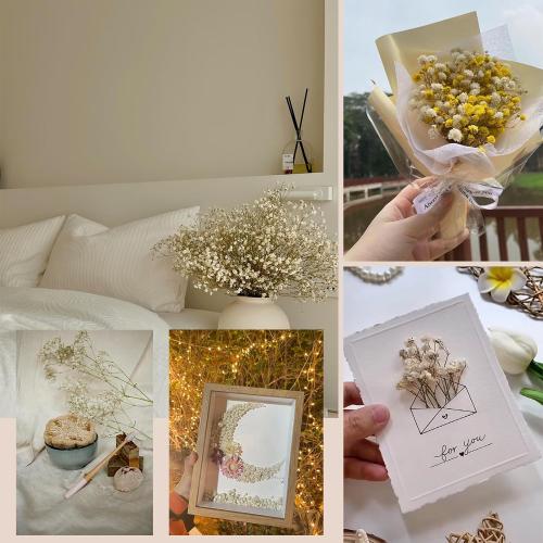 Dried Baby's Breath Bouquet, Pure White 6-7.8 Portable Mini Gypsophila Flowers, 2000  Natural Preserved Flowers for Wedding Home Decor DIY Crafts Vase Filler Wreath Card Making