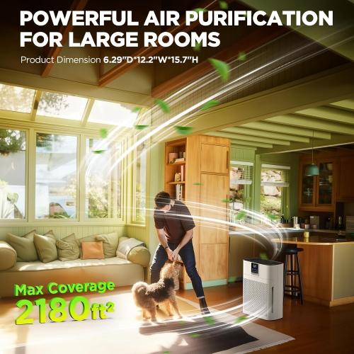 Air Purifiers for Home Large Room up to 2180 Sq Ft, DBFIT HEPA Air Purifier with Washable Nylon Pre-Filter, PM2.5 Air Quality Sensor, Air Cleaner for Pet Hair, Odor, Smoke, Dust, Pollen AP2410