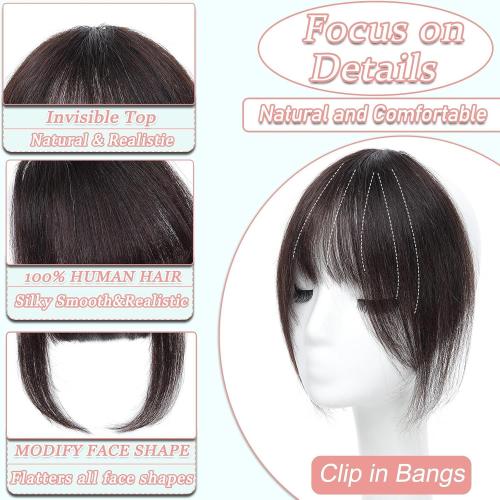 Clip in Bangs Real Human Hair French Bangs with Temples