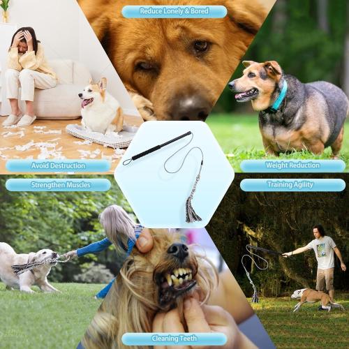 Flirt Pole for Small Medium Dogs,Interactive Chase and Tug of War Outdoor Dog Toys,Heavy Duty Dog Teaser Wand Chase Toys with Rope,Durable Flirt Stick Pole for Dogs Outside Agility Exercise & Training