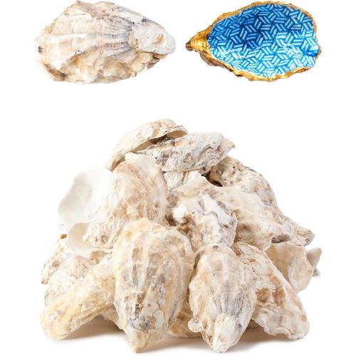 9 Pcs Oyster Shells for Crafts， 3-4 Large Oyster Shell for Crafts，Oyster Shell for Christmas 、Painting、 Beach Themes、 Wedding, Home Shells for Decoration and Sea Shells for Crafting