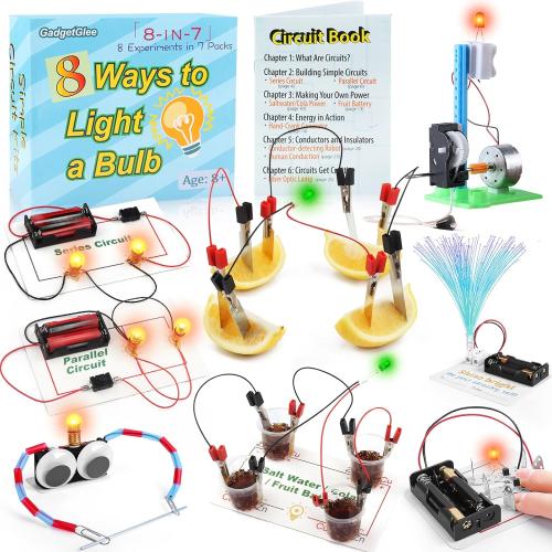 Science Circuit Kit Electricity for Kids, STEM Electrical Light Bulb Experiment, Electric Science Gifts Fair Project Kits Age 8-12, Fruit Energy Experiments Circuits Engineering Projects