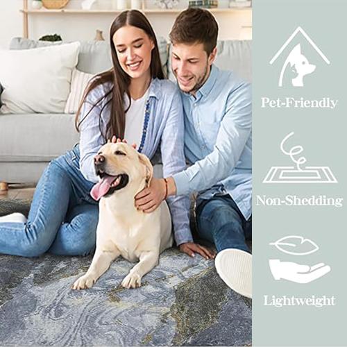 Modern Washable Rug for Living Room: Abstract Area Rugs for Bedroom Low Pile Non Slip - Stain Resistant Carpet for Dining Room Indoor - Grey Gold