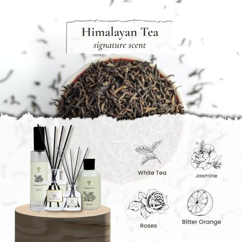 Pristine Himalayan Tea/Westin Hotel Inspired Scent Diffuser Refill with Free Reed Stick | Fresh Bergamot/White Tea Room Fragrance Reed Diffusers, Oil & Room Diffusers with Reed | Home Fragrance