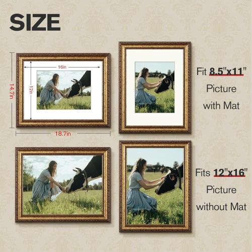 12x16 Gold Picture Frame, 2 Pack Ornate Vintage Picture Frames for Wall or Tabletop Display, 12x16 Photo Frame Gold with Real Glass, Display Poster 8.5x11 with Mat or 12 x 16 without Mat for Antique Déco