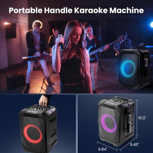 Karaoke Machine with 2 Wireless Microphones, Portable Bluetooth Party Karaoke Speaker with LED Lights, Bass/Treble Adjustment, TWS, 800W(Peak) PA System for Home Party, Supports USB/AUX/REC/Mic-in ( no remote)