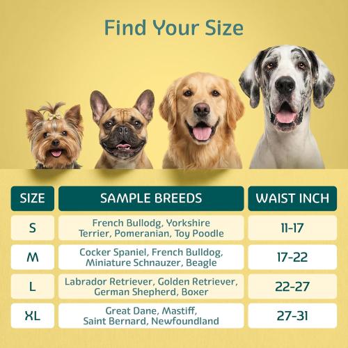 Maximum Absorbency Male Dog Diapers - Leak-Proof Disposable Male Dog Wraps- FlashDry Gel Technology, Wetness Indicator Doggie Diapers- Belly Wraps for Incontinence & Training (50 Pack, Small)