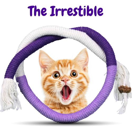 Cat Chew Rope - 3 Pack Cat Chew Ropes for Teeth Cleaning, Kitten Teething Toys with Stick to Transfer Chewing from Wires to Cotton String