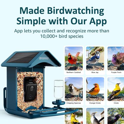 BIRDLEGEND® Bird Feeder with Camera Solar Powered, 2K Portrait Live Free AI Forever Instant Arrival Alerts with 64GB Card, Smart Camera Birds Feeders Wireless Outdoor Gift for Bird Lover, 2.4G WiFi
