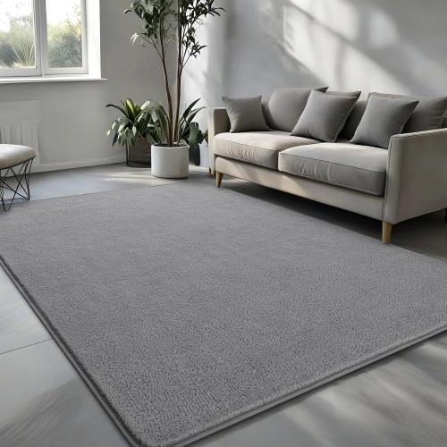 Pettop Area Rugs for Bedroom Living Room, 4x6 Grey Thickened Memory-Foam Indoor Carpets, Modern Aesthetic Minimalist Super Soft Comfy Carpet for Boys Girls Adults Room Dorm Home Decor