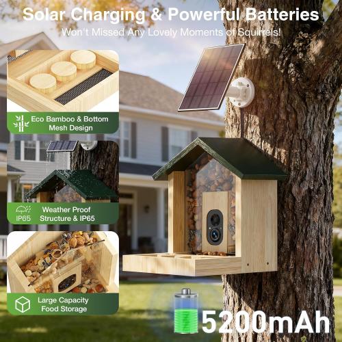 Wooden Squirrel Feeder with Camera, Solar-Powered, 2K HD  Video | Cloud Storage, Large Capacity, Ideal for Squirrel Lovers