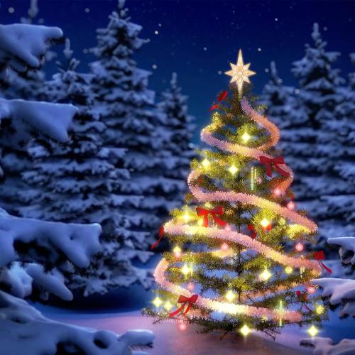 12 11LED Lighted Christmas Tree Topper, Golden Bethlehem Star Treetop with Warm White Fairy Lights, Holiday Christmas Tree Decorations…