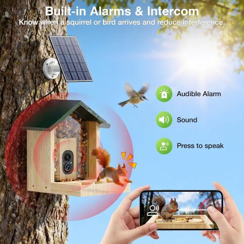 Wooden Squirrel Feeder with Camera, Solar-Powered, 2K HD  Video | Cloud Storage, Large Capacity, Ideal for Squirrel Lovers